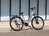 Fahrbericht Rover TLM 709: Trekkingrad für die Stadt - Bild 2