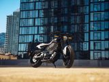 Mehr Power Cruiser als Flat Tracker - Bild 9