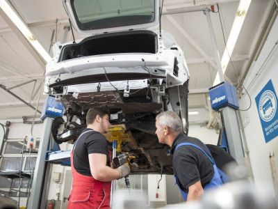 ZDK: Die BEV-Neuzulassungen täuschen