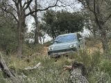 Fahrbericht Porsche Cayenne Electric: Ein Sportwagen als SUV - Bild 18