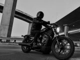 Harley-Davidson: Die Nightster ist der neue Einstieg  - Bild 4