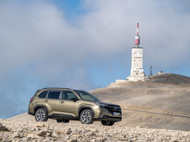 Der Subaru Forester und der Kolibri - Bild 1