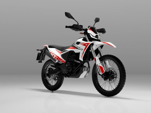 Das Känguru hüpft bald wieder - Bild 1