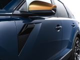 Dacia Striker: Kombi-Angriff in der Kompaktklasse - Bild 47