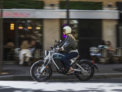 Der Floh bleibt diesmal am Boden