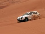 Im Rückspiegel: 20 Jahre Porsche Cayenne (1) - Bild 11