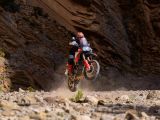Die Ducati Desert X überwindet noch mehr Hindernisse - Bild 3