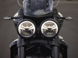 Triumph facht den Sturm weiter an - Bild 37