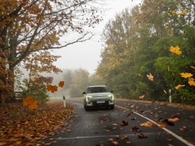 Sicher durch den Herbst