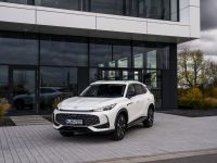 Das kann ein Diesel mindestens genauso gut