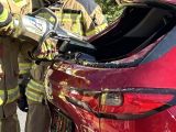 Retter unter Hochspannung: Training für den Ernstfall - Bild 3