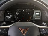 Praxistest Cupra Formentor 2.0 TDI: Gelungene Synthese  - Bild 10