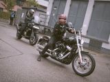 Harley-Davidson mischt bei den Petrolettes mit - Bild 4
