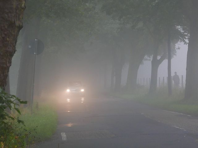 Schwere Nebelunfälle häufen sich zum Jahresende - Bild 1