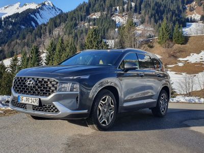 Hyundai-Käufer werden Naturschützer