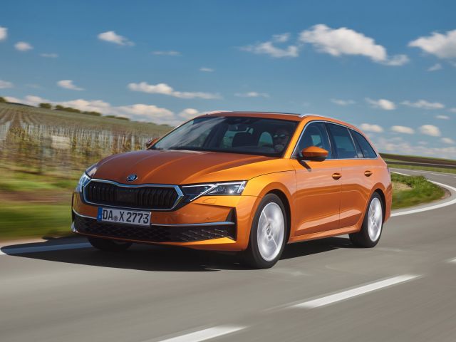 Jeder fünfte Skoda wird in Deutschland verkauft - Bild 1