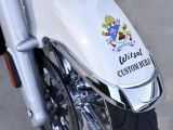 Heiligs Blechle: Papst segnet BMW R 18 für guten Zweck - Bild 7