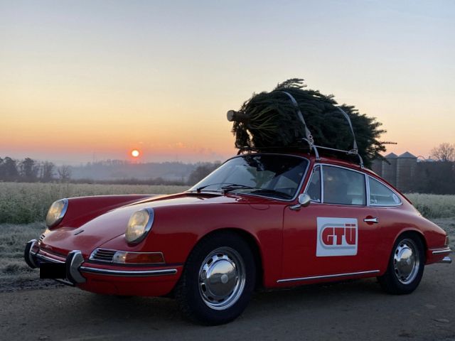 Ratgeber: So kommt der Weihnachtsbaum sicher an - Bild 1