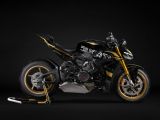 Zehn Ikonen dienen als Inspiration für 1000 Motorräder - Bild 16