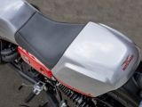 Moto Guzzi V7 im Sportdress - Bild 5