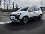 Der Fiat Pandina kann bestellt werden - Bild 2