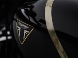Custom ab Werk: Triumph Speed Twin 1200 TFC - Bild 7