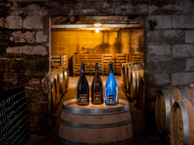 Weihnachten kann kommen - Bild 1