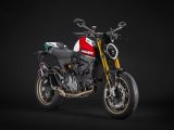 Ducati Monster „30° Anniversario“: 500 Leichtgewichte - Bild 3