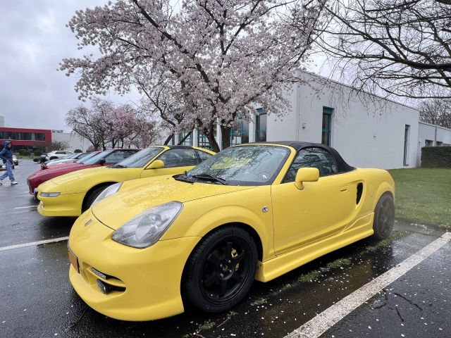 Geburtstagsparty für „Mister Two“ - Bild 1