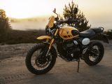 Triumph setzt bei der Scrambler 400 nach - Bild 3
