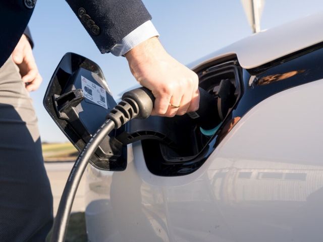 ZDK: Elektroautos kommen auf hohe Eigenzulassungen - Bild 1