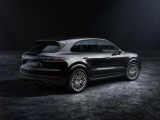 Porsche Cayenne als „Platinum Edition“ - Bild 2