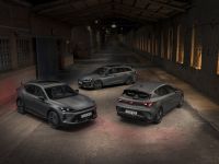 Abt kleidet Cupra ein