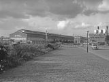 Wiedersehen macht Freude: Klassikertreffen in Rüsselsheim - Bild 2