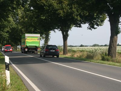 DVR bekräftigt Forderung nach Tempo 80