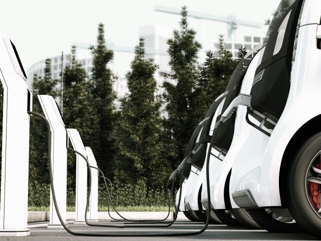 Nur reine Elektroautos legten im ersten Halbjahr zu - Bild 1