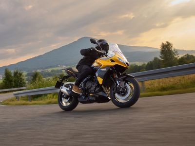 Triumph bringt wieder eine 800er