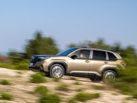 Seit 29 Jahren eine feste Größe