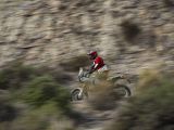 Ducati erneuert die Desert X - Bild 14