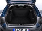 Dacia Striker: Kombi-Angriff in der Kompaktklasse - Bild 41