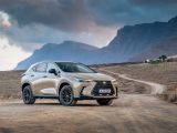 Lexus legt den NX etwas höher - Bild 20