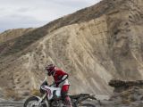 Ducati erneuert die Desert X - Bild 20