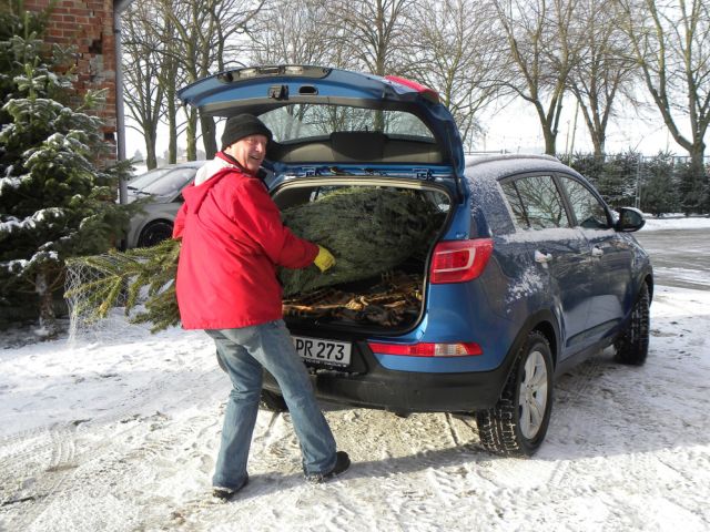 Ratgeber: So kommt der Weihnachtsbaum sicher nach Hause - Bild 1