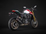 Ducati Monster „30° Anniversario“: 500 Leichtgewichte - Bild 5