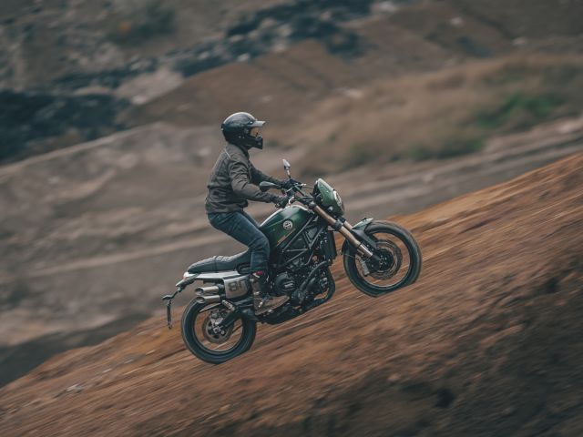 Vorschau: Zwei Löwen und zwei Sterne - Bild 1