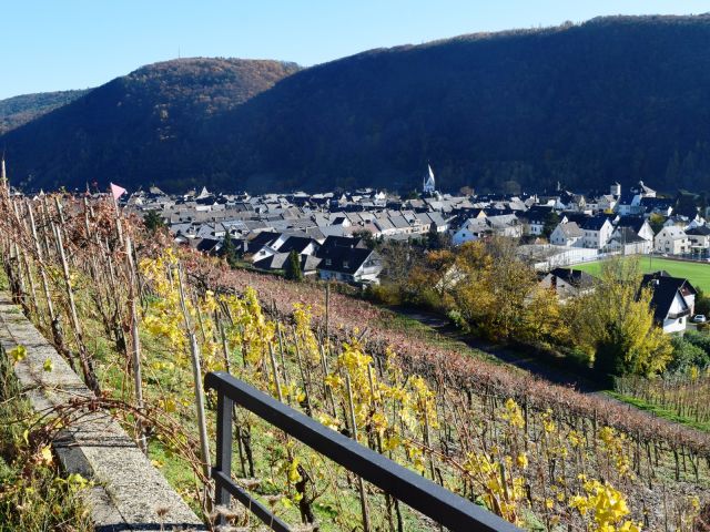 Reiseführer für die Schleifenreiche - Bild 1