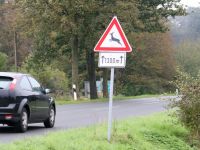 Zeitumstellung: Erhöhtes Risiko für Wildunfälle