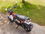 Hondas Dackel kehrt zurück - Bild 6