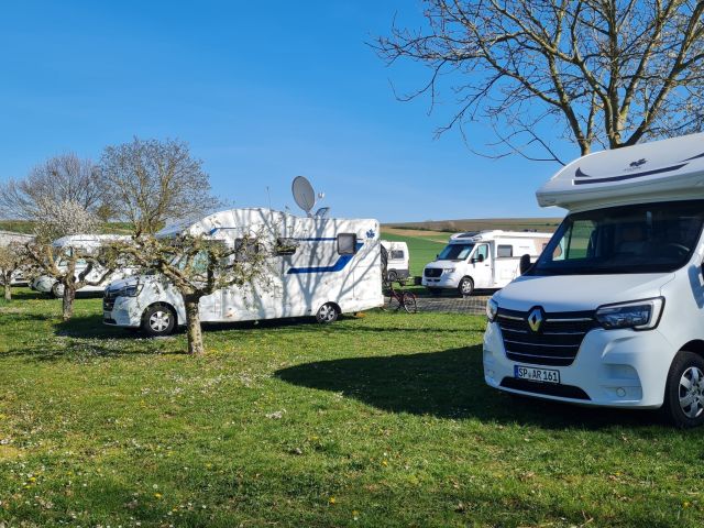 Rund 42,3 Millionen Übernachtungen auf Campingplätzen - Bild 1