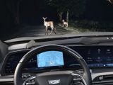Cadillac bringt im September ein siebensitziges Elektro-SUV - Bild 6